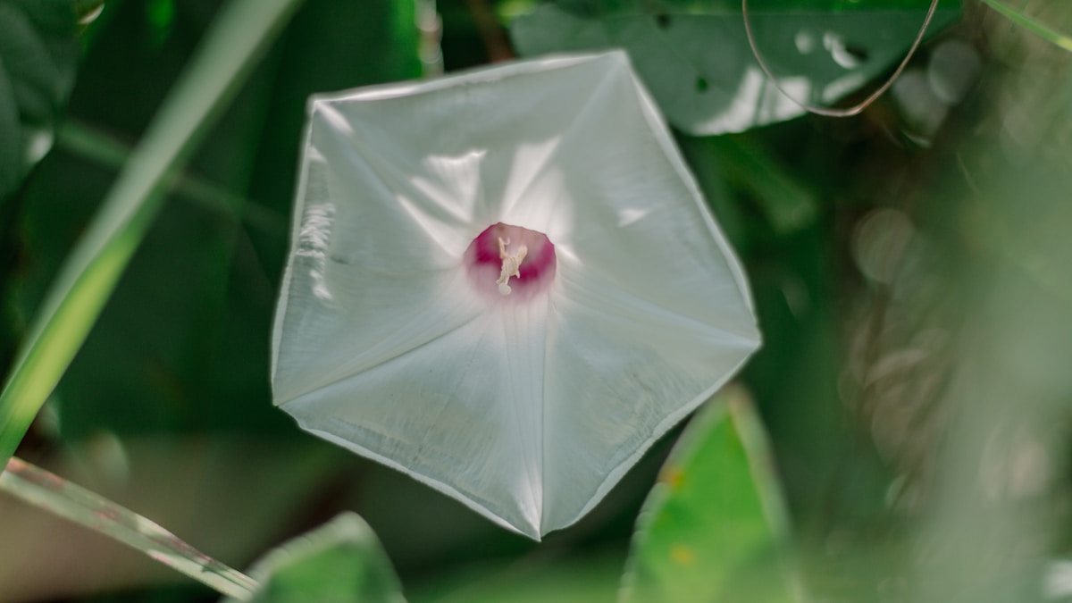 DoD SBIR 26.1: How to Pick a Topic From 115 Options