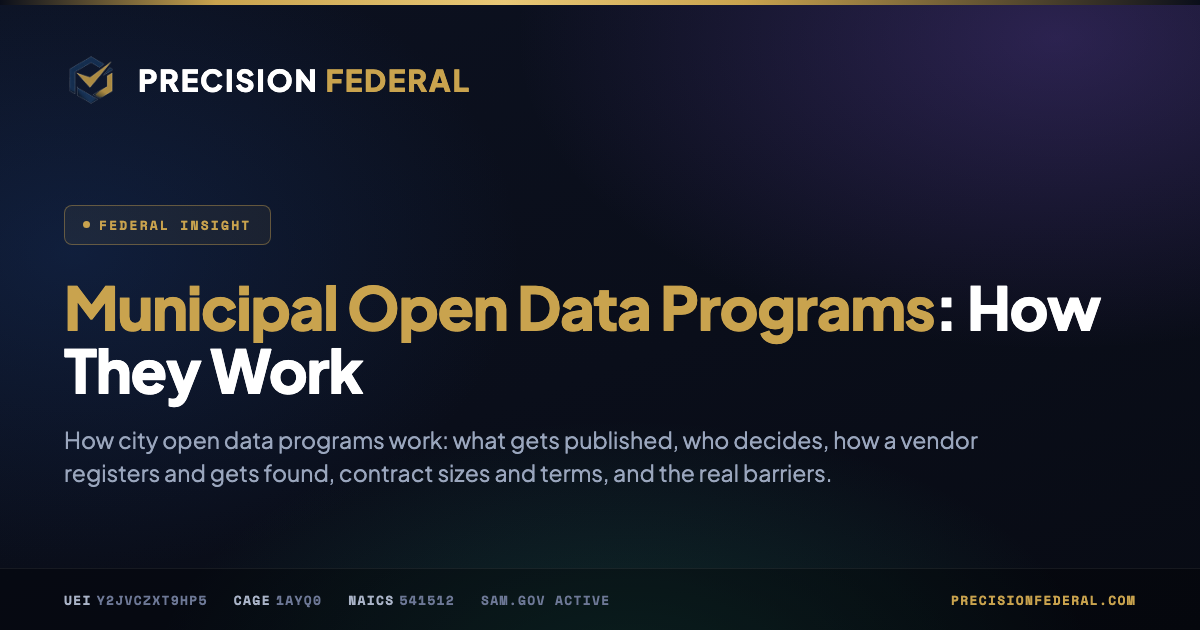 Municipal Open Data Programs: How They Work