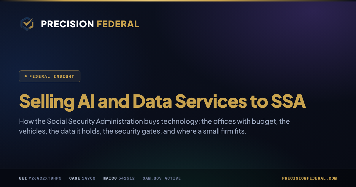 Selling AI and Data Services to SSA